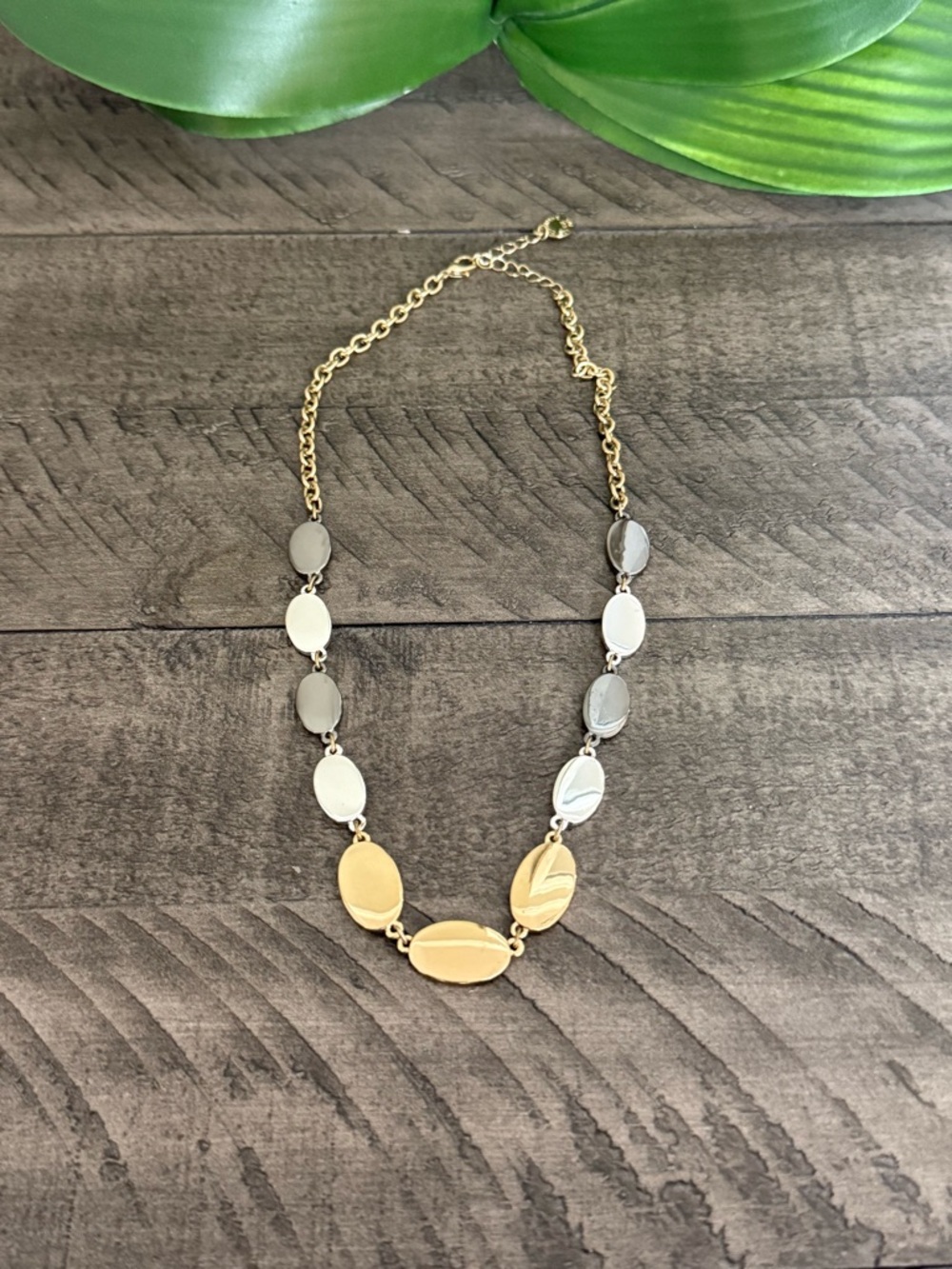 Liz Claiborne Gold and Silver Oval Link Necklace